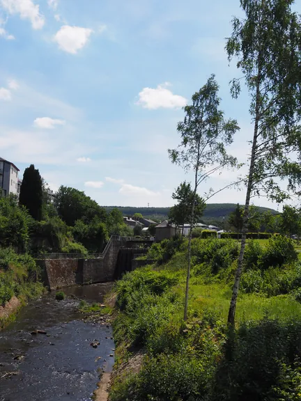 Vielsalm (België)